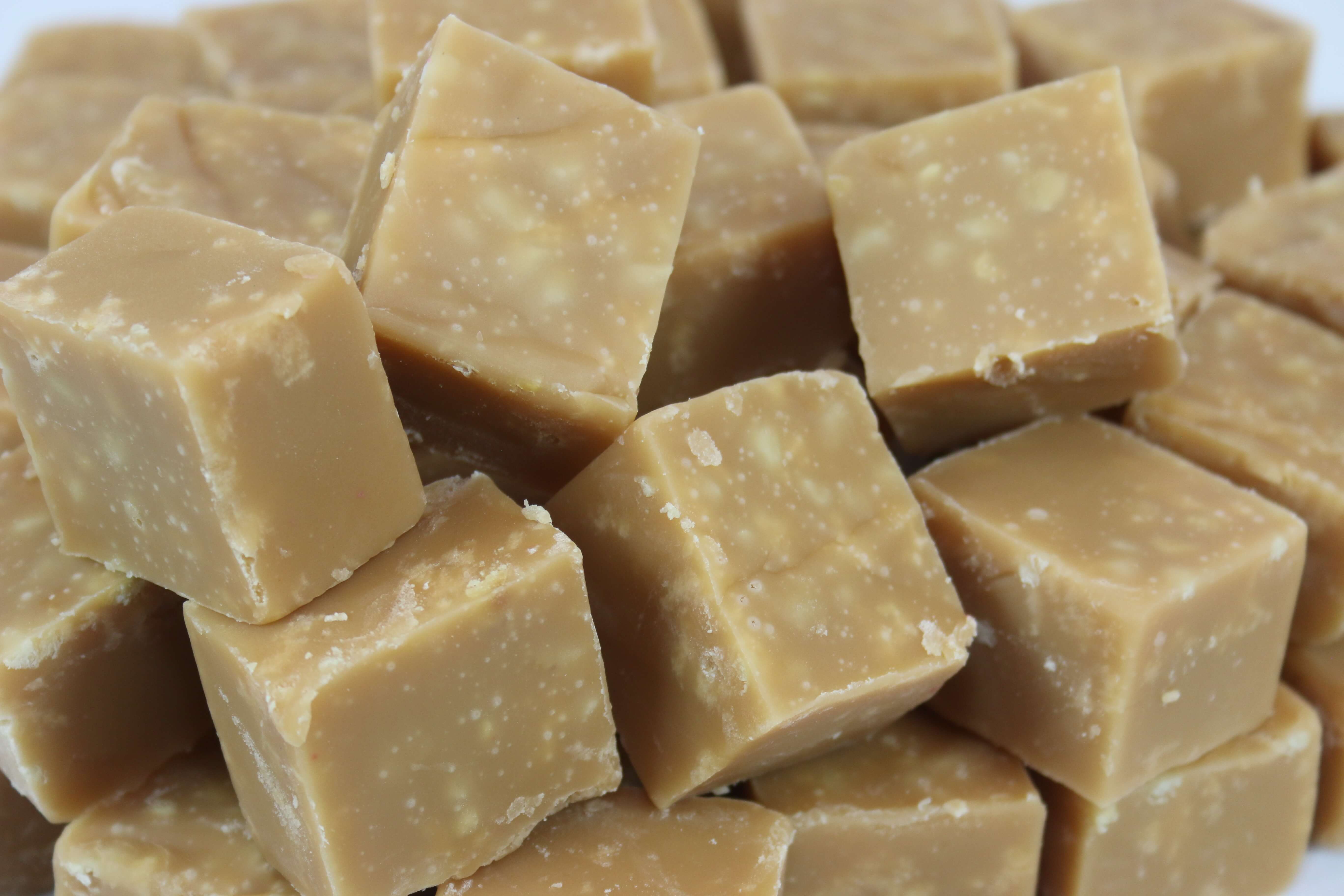 Hazelnut Fudge